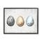 Stupell Industries Robin Eggs Ornamented Farm Confectionary Scripture Background Framed Giclee Art